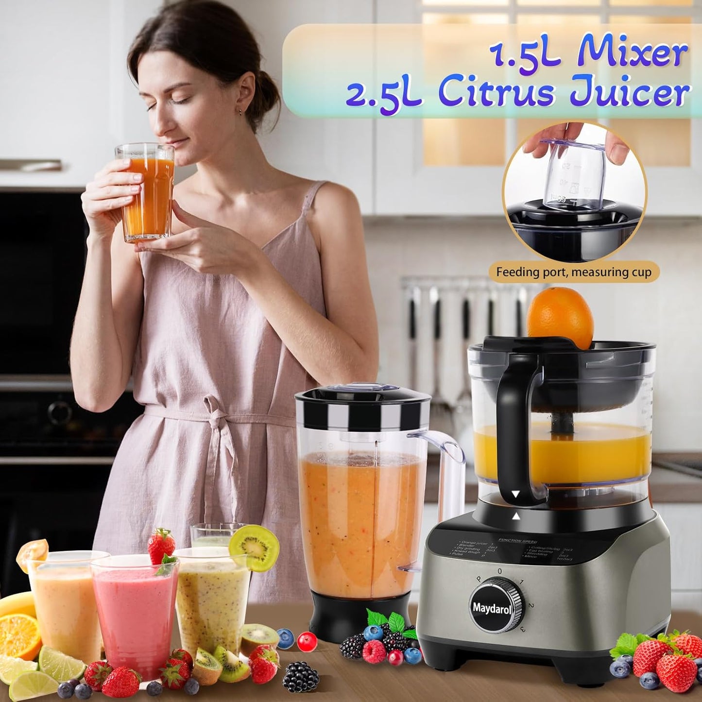 14 Cup Food Processor, French-Fry-Cutter, Blending, Mixing, Shredding, and Slicing, Meat and Vegetable Chopping, Doughing for Home Use, Mincing, and Pureeing,4 Speeds,600W