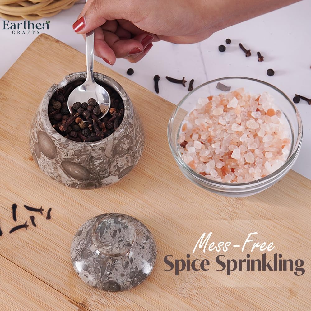 Marble Salt Cellar With Lid and Spoon 3" Inches Oceanic Salt Box, Natural Stone Salt Holder for Kitchen Counter Salt Container Sugar, Salt & Pepper Bowls