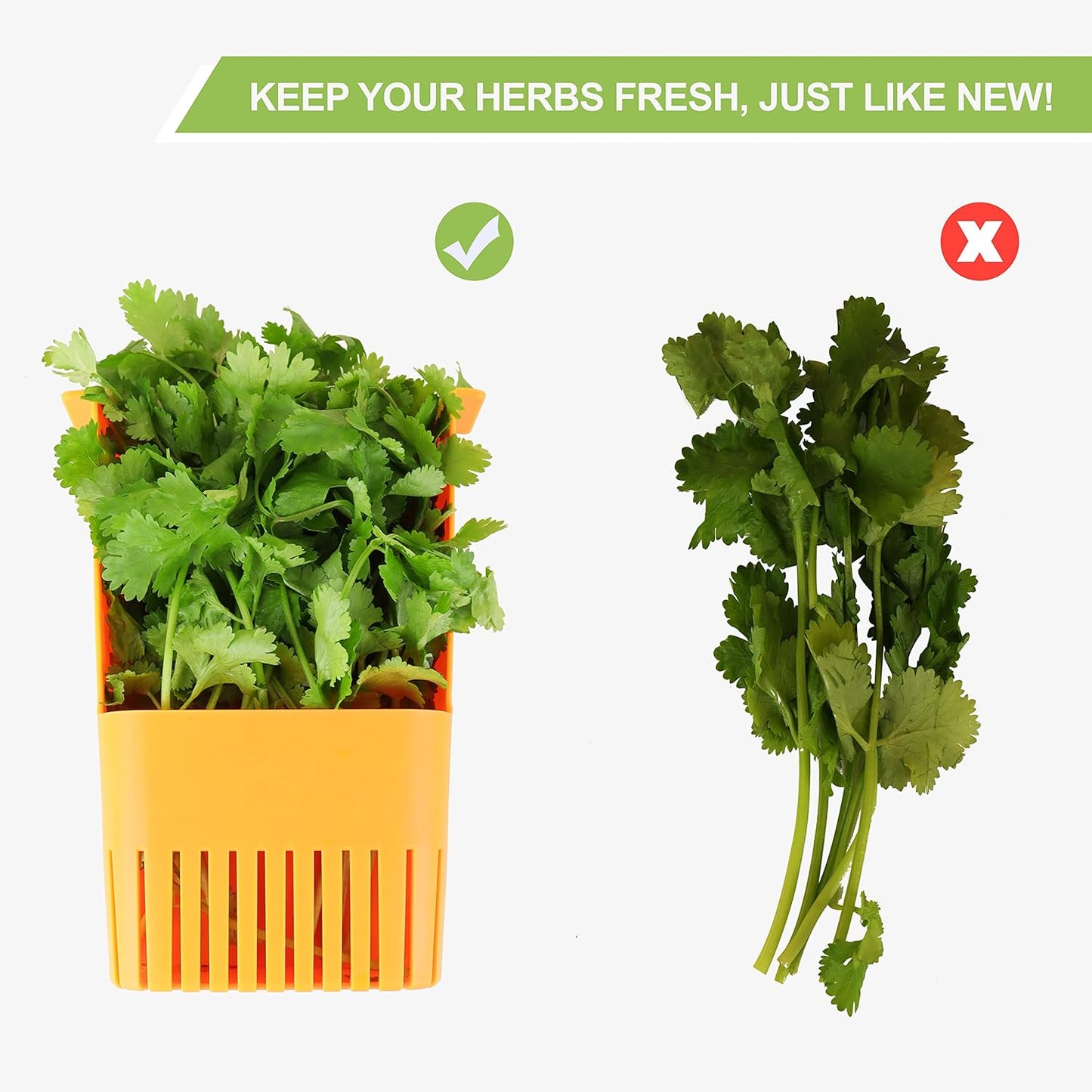 Fresh Herb Keeper for Refrigerator, Clear BPA-Free Herb Saver, Storage Container for Cilantro, Parsley, Thyme, Mint & Asparagus, Preserver Keeps Fresh Herbs for 3 Times Longer, Orange