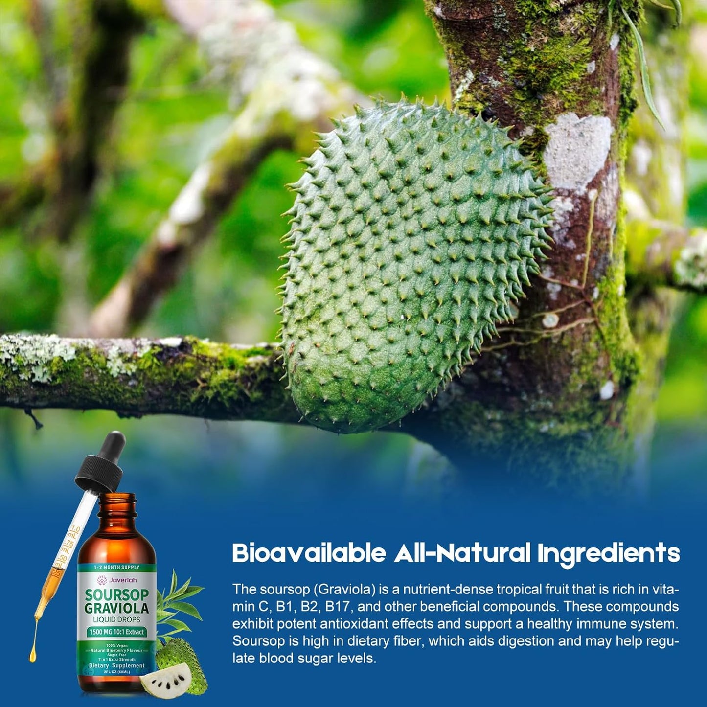 Soursop Graviola Liquid Drops Supplement with Sea Moss Extract, Soursop Bitters Liquid for Cell Support & Regeneration, Immunity, Liver, Antioxidant, Graviola Leaves Extract 2 Month Supply 60ML